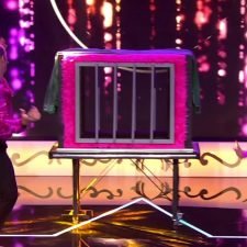 Jaula de aparición (madera) 1 o 2 apariciones