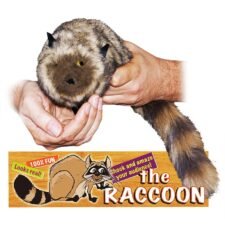 La comedia de RACCOON
