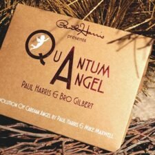 Quantum Angel - Paul Harris
