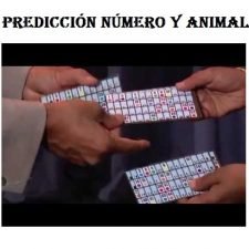 Predicción número y animal - económico