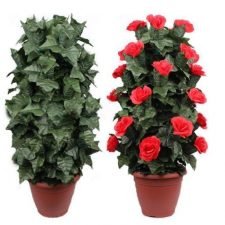 La ilusión del árbol de Rosas - 30 Rosas rojas