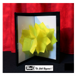 Flores Camaleón - Mr Magic