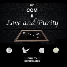 Chinese Coin Matrix 2.0 - Amor y Pureza