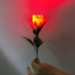 Luz en la Rosa (Sin LUZ /para cambio) por JL Magic