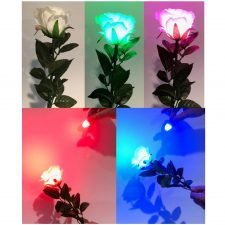 Rosa Multicolor Deluxe (7 colores) – JL Magic