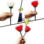 Cambio de Color de la Rosa 2.0 - Ultra Visual - JL Magic