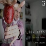 Pañuelo que viaja a la botella (The silk trip routine) - Rutina completa Online