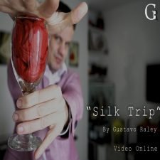 Pañuelo que viaja a la botella (The silk trip routine) - Rutina completa Online