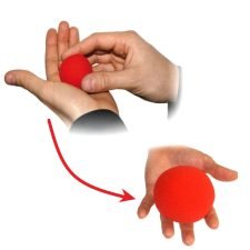 Bola de Esponja de Pequeña a Grande