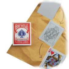 Coloring Card - Baraja de Colorear - Bicycle