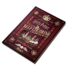 Libro de Colorear Harry Potter - theory11