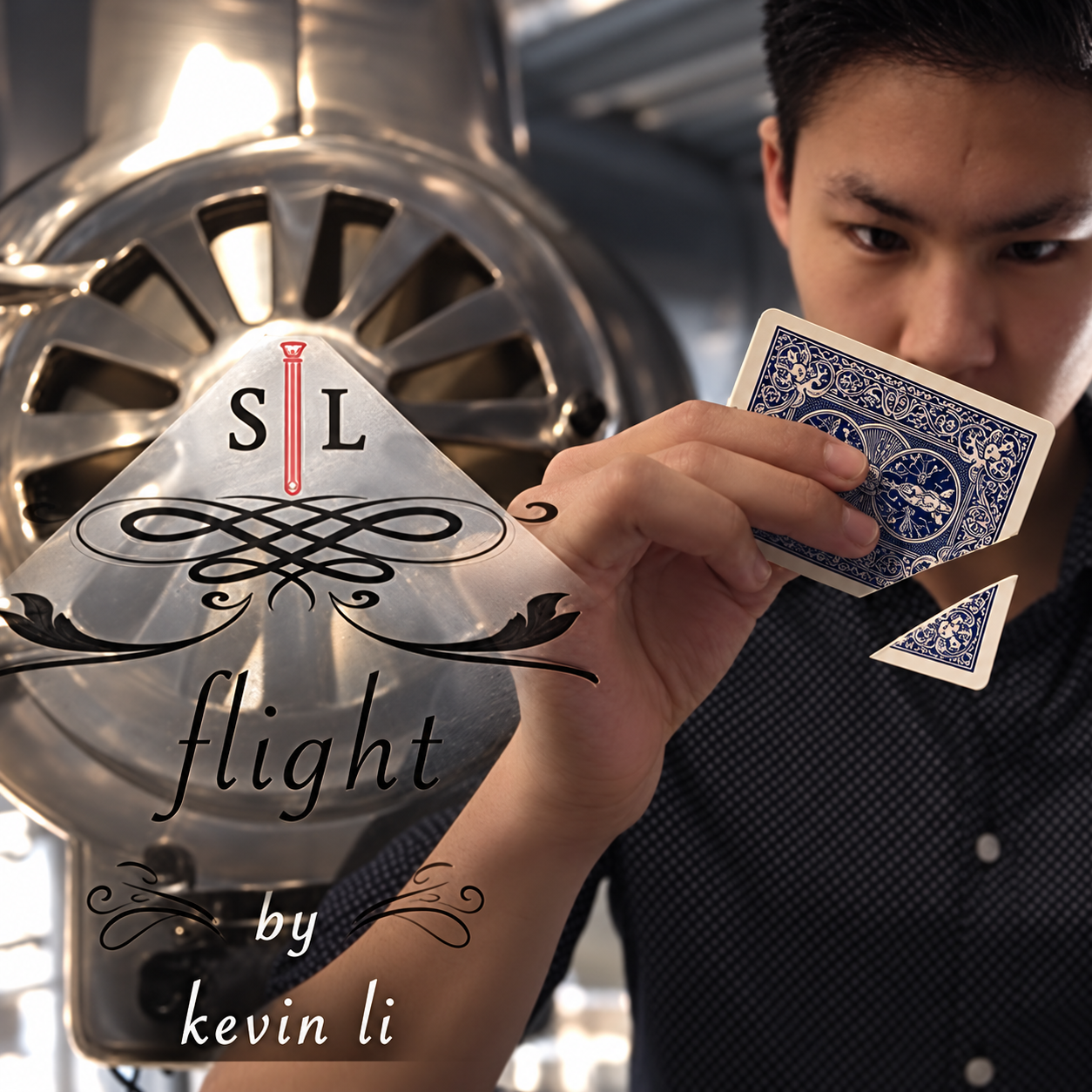 Flight por Kevin Li y Shin Lim